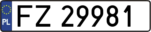 FZ29981
