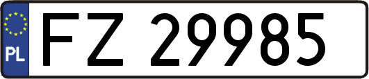 FZ29985
