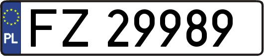 FZ29989