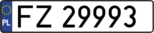 FZ29993