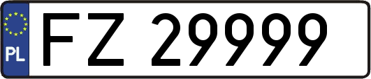 FZ29999
