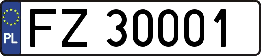 FZ30001