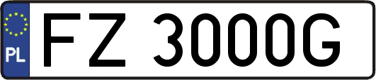 FZ3000G