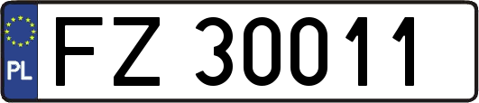 FZ30011