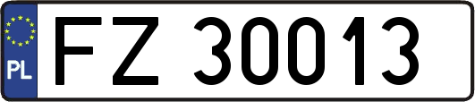 FZ30013