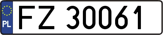 FZ30061