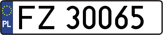 FZ30065