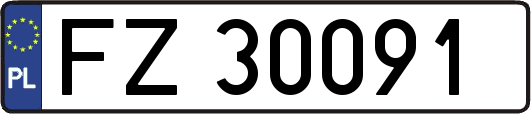 FZ30091