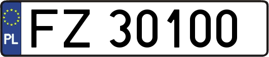 FZ30100