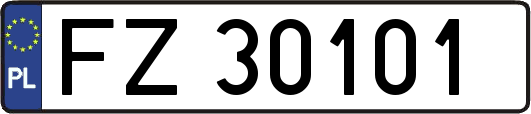 FZ30101