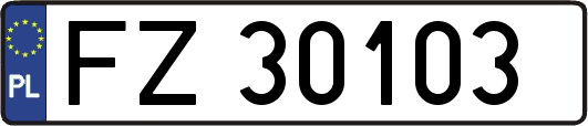 FZ30103