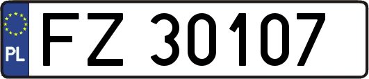 FZ30107