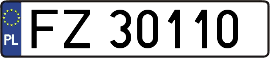 FZ30110