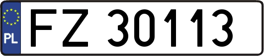 FZ30113