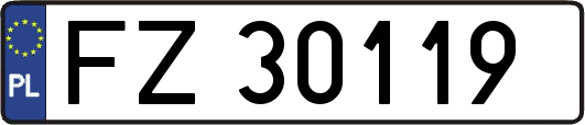 FZ30119