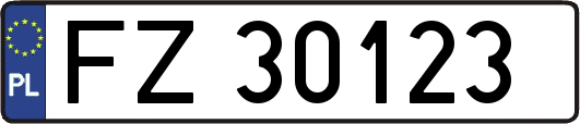 FZ30123