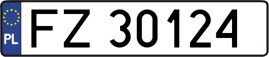 FZ30124