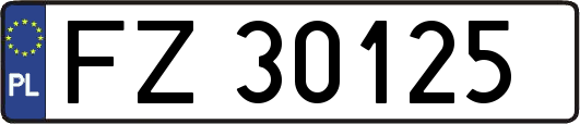 FZ30125
