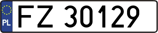 FZ30129