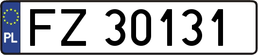 FZ30131