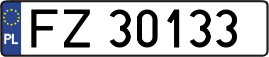 FZ30133