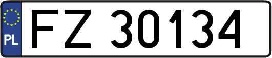FZ30134