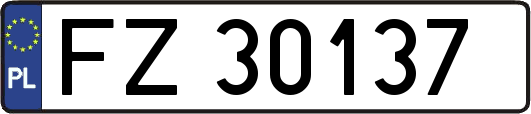 FZ30137