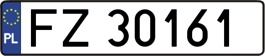FZ30161