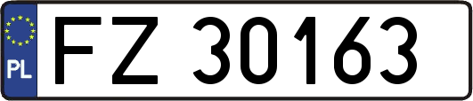 FZ30163