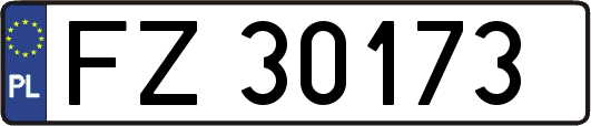 FZ30173