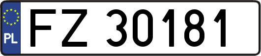 FZ30181