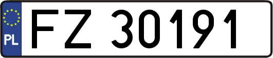 FZ30191