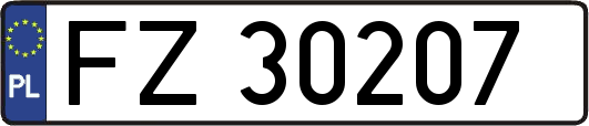 FZ30207