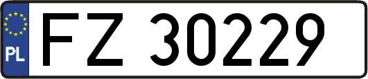 FZ30229
