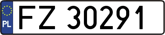 FZ30291