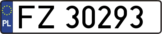 FZ30293