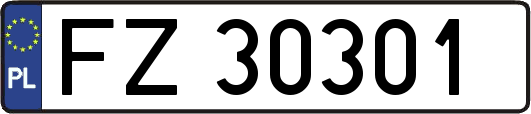 FZ30301