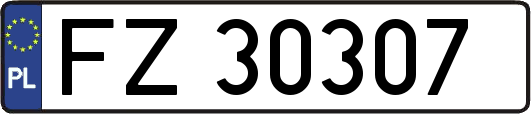 FZ30307
