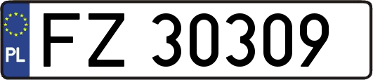 FZ30309