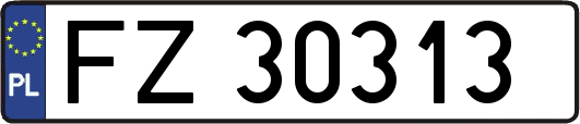 FZ30313