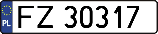 FZ30317