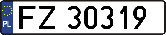 FZ30319