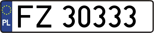 FZ30333