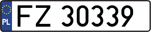 FZ30339