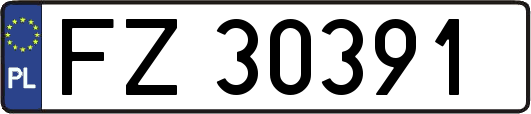 FZ30391