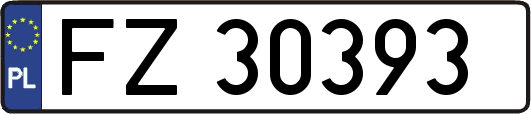 FZ30393