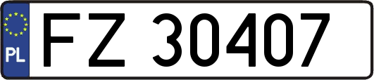 FZ30407