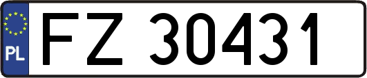 FZ30431