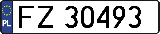 FZ30493