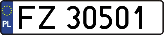 FZ30501